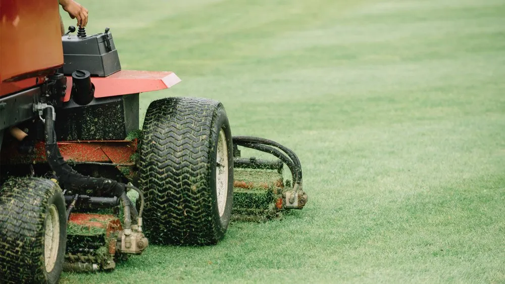 Reliable yard cleanup service experts serving Winter Garden, FL - Nature's Front Lawn