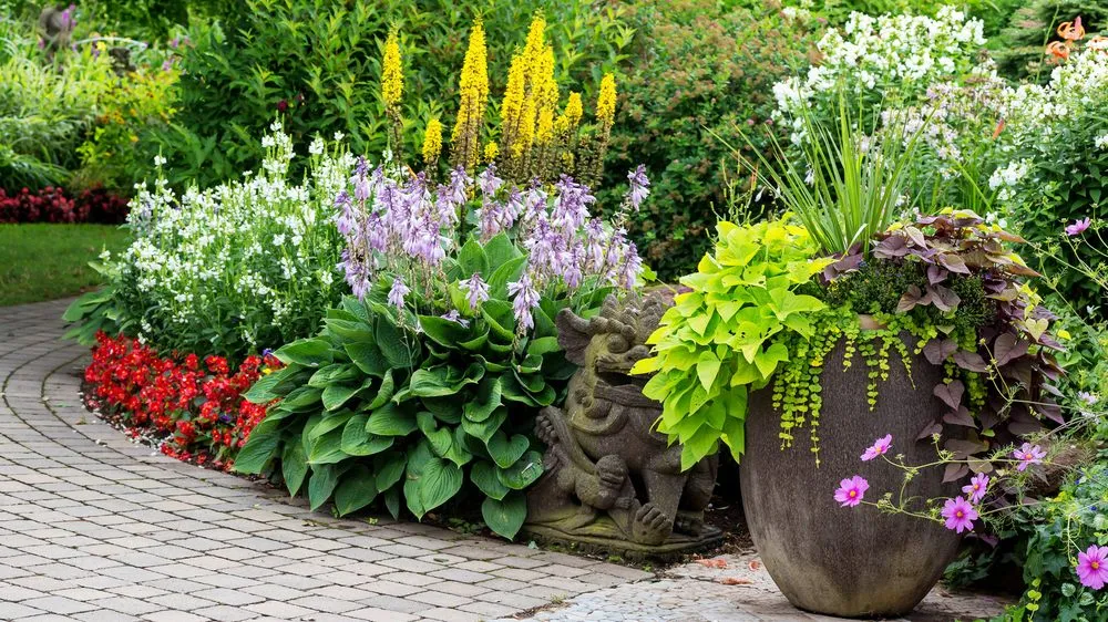 Reliable lawn mowing service in Winter Garden, FL by Nature's Front Lawn