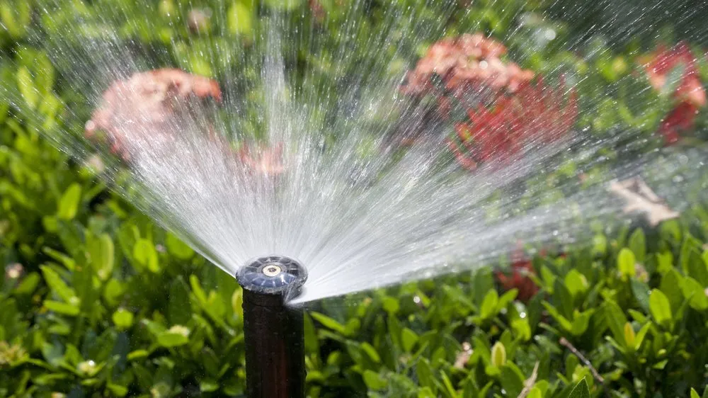 Custom lawn care service experts serving Winter Garden, FL - Nature's Front Lawn