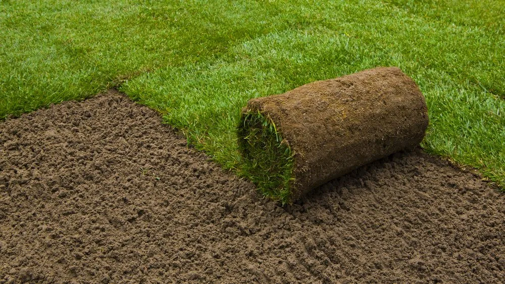 Top-rated yard maintenance near you in Winter Garden, FL by Nature's Front Lawn