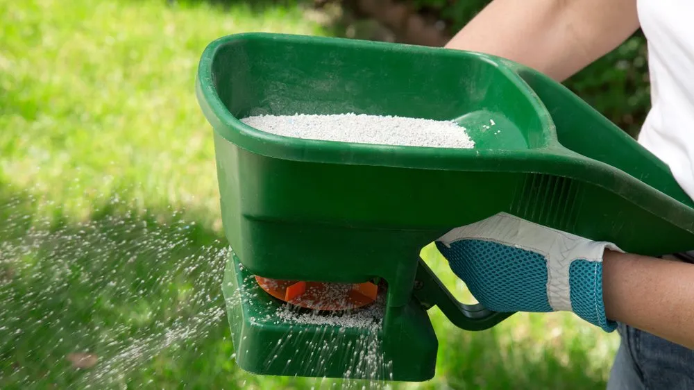 Top-rated outdoor landscaping in Winter Garden, FL - Nature's Front Lawn