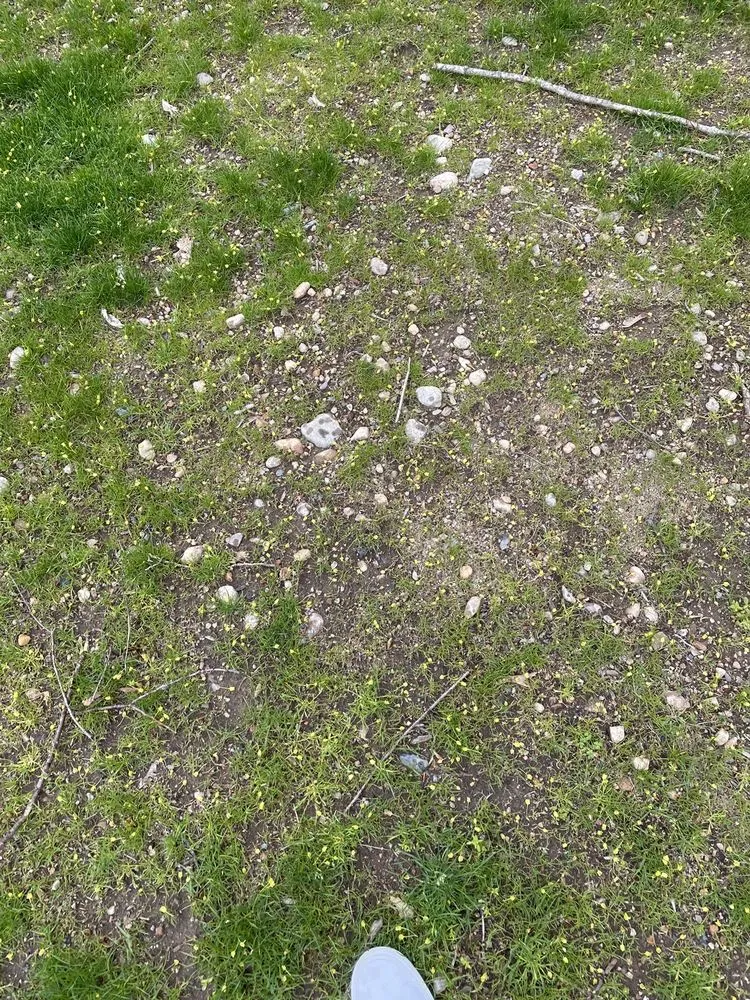 Top-rated garden landscaping in Seekonk, MA - Nature's Frontier Landscaping