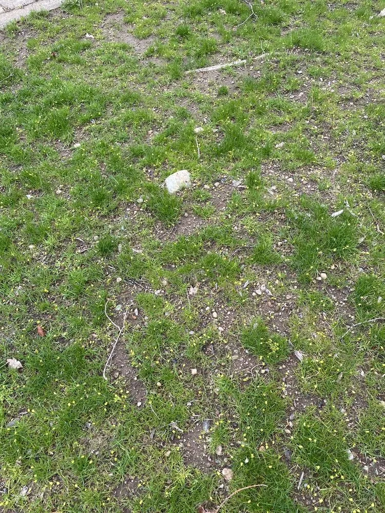 Professional lawn care service in Seekonk, MA - Nature's Frontier Landscaping