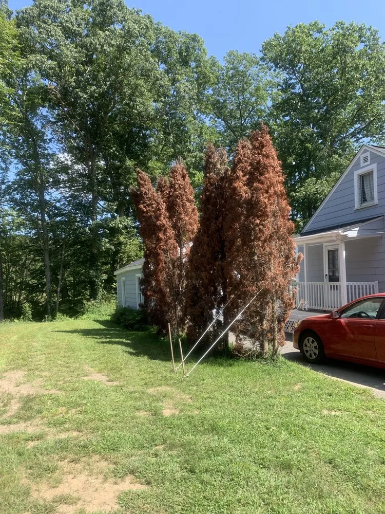 Local yard cleanup service in Seekonk, MA - Nature's Frontier Landscaping