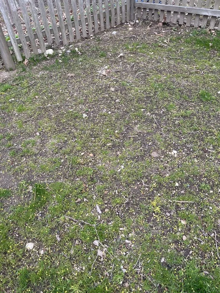 Reliable lawn care service in Seekonk, MA by Nature's Frontier Landscaping