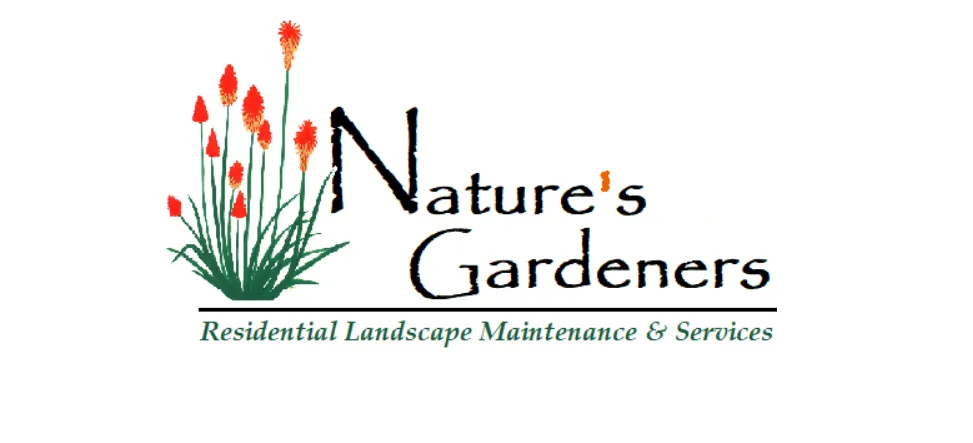 Professional landscape installation for outdoor upgrades in Laguna Beach, CA by Nature's Gardeners