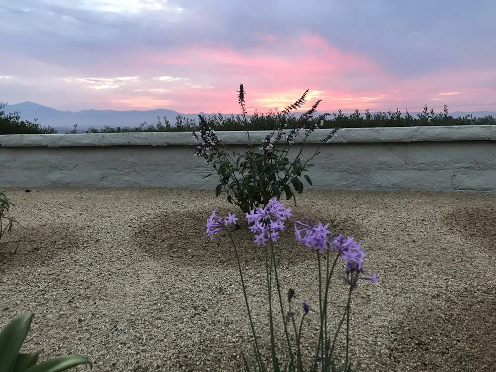 Local yard maintenance near you in Laguna Beach, CA by Nature's Gardeners