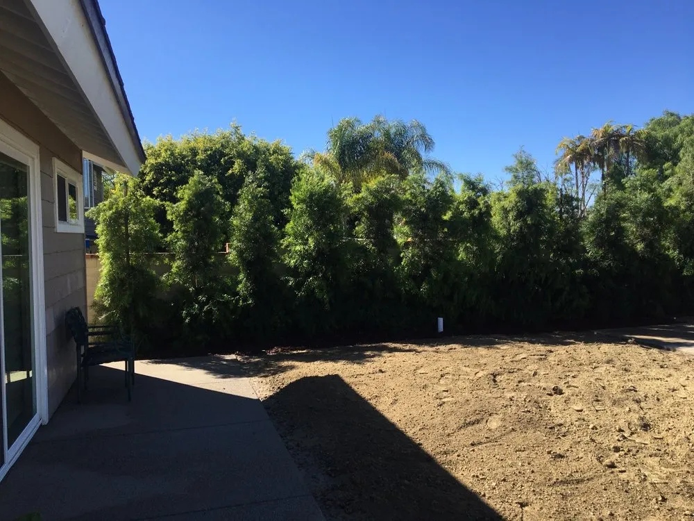 Top-rated garden landscaping with custom design in Laguna Beach, CA by Nature's Gardeners