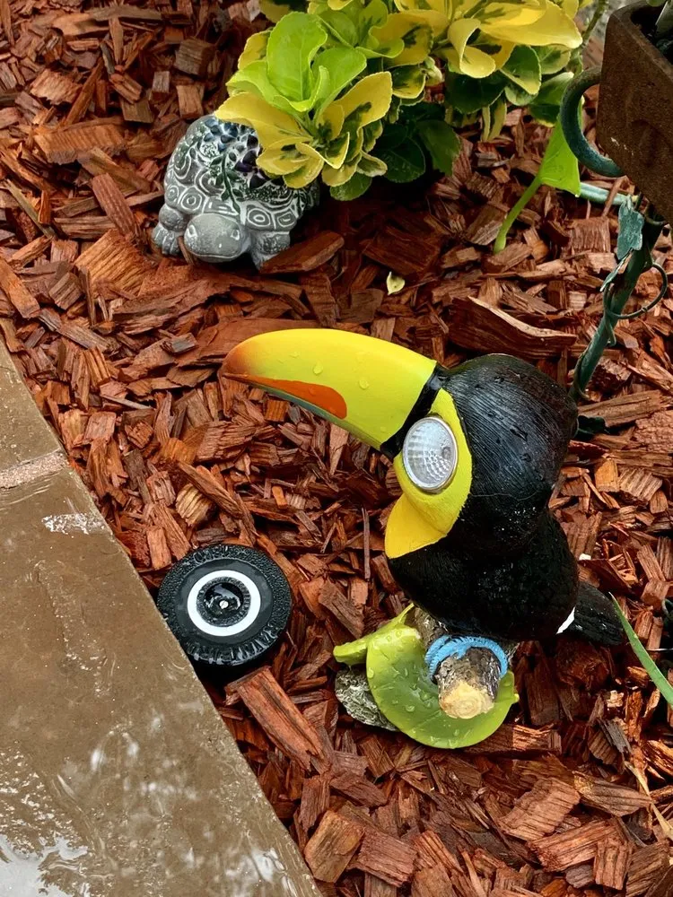 Reliable landscape design in Laguna Beach, CA by Nature's Gardeners