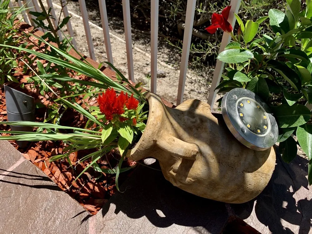 Top-rated landscape design for residential properties across Laguna Beach, CA - Nature's Gardeners