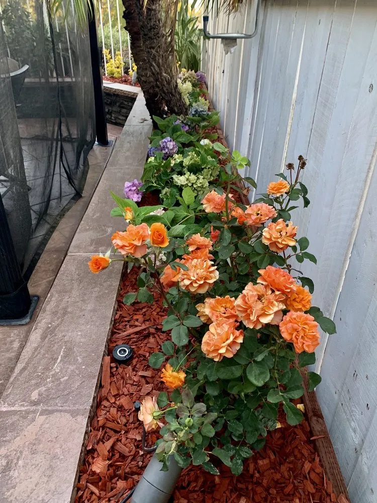 Professional garden landscaping experts serving Laguna Beach, CA - Nature's Gardeners