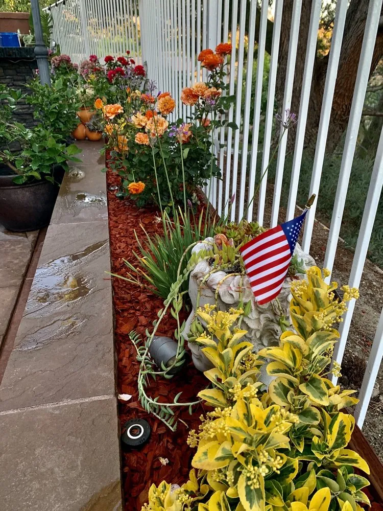 Custom landscape installation in Laguna Beach, CA by Nature's Gardeners