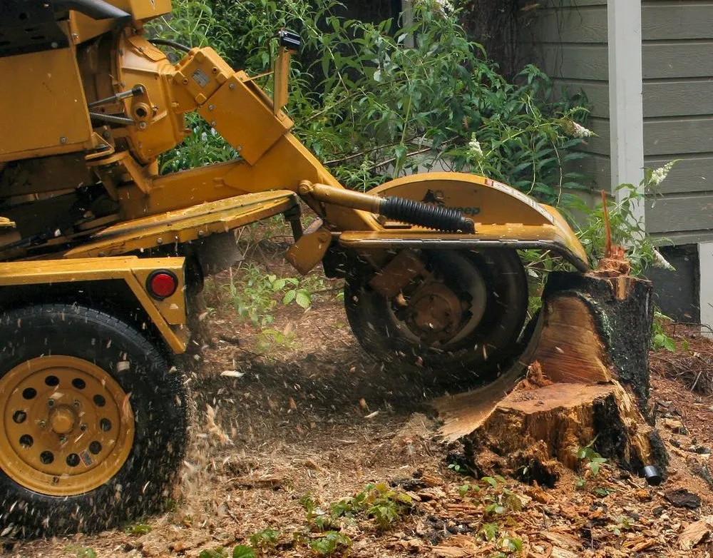 Local yard cleanup service in Louisa, VA - Nature's Grace Land and Tree
