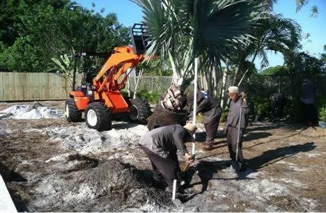 Trusted lawn care service in Fort Pierce, FL - Natures Grounds Landscape Management