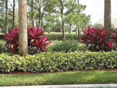 Professional outdoor landscaping in Fort Pierce, FL - Natures Grounds Landscape Management