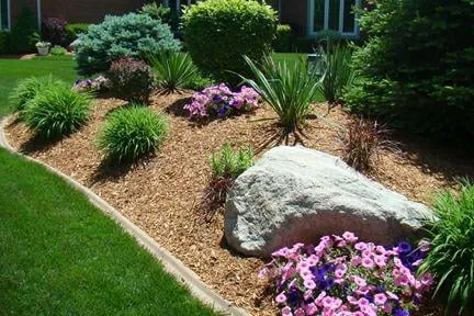 Local yard maintenance for year-round maintenance across Fort Pierce, FL - Natures Grounds Landscape Management