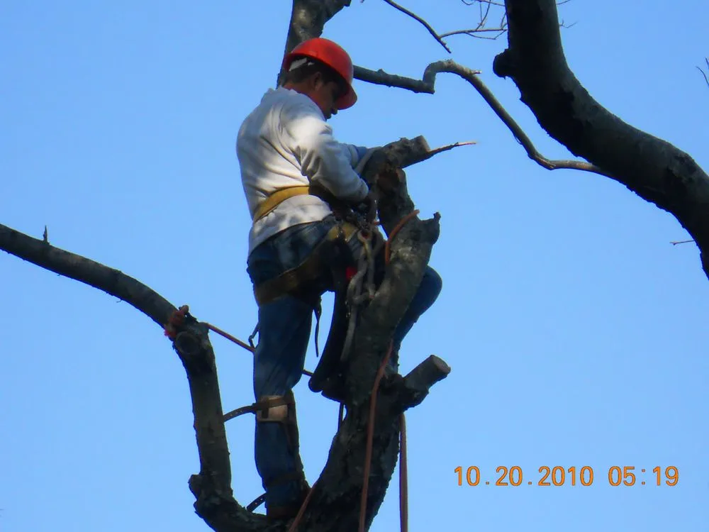 Expert yard maintenance for homes in Southampton, NY by Natures Guardian