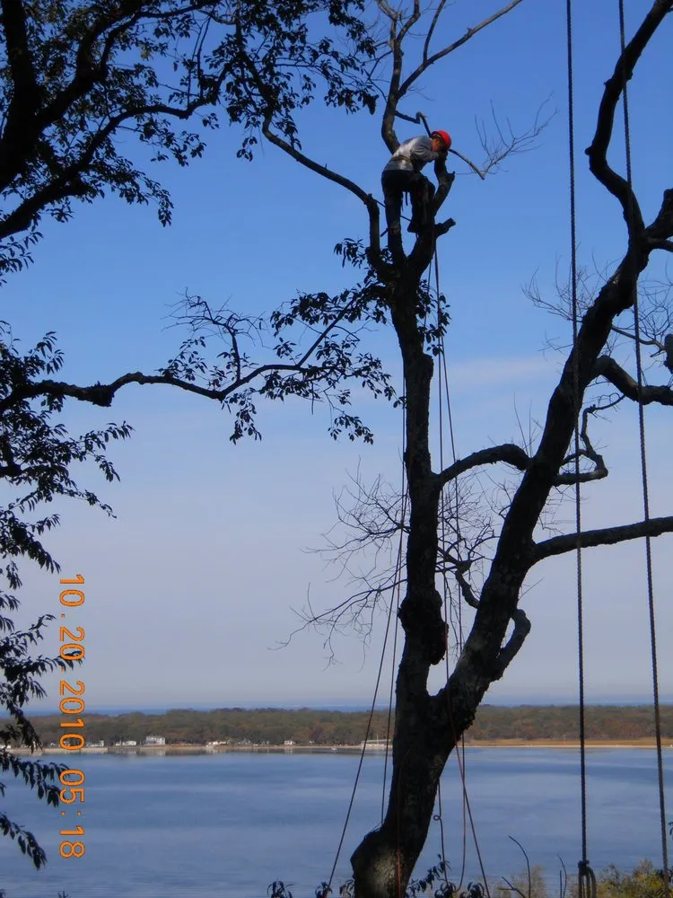 Affordable lawn mowing service in Southampton, NY - Natures Guardian