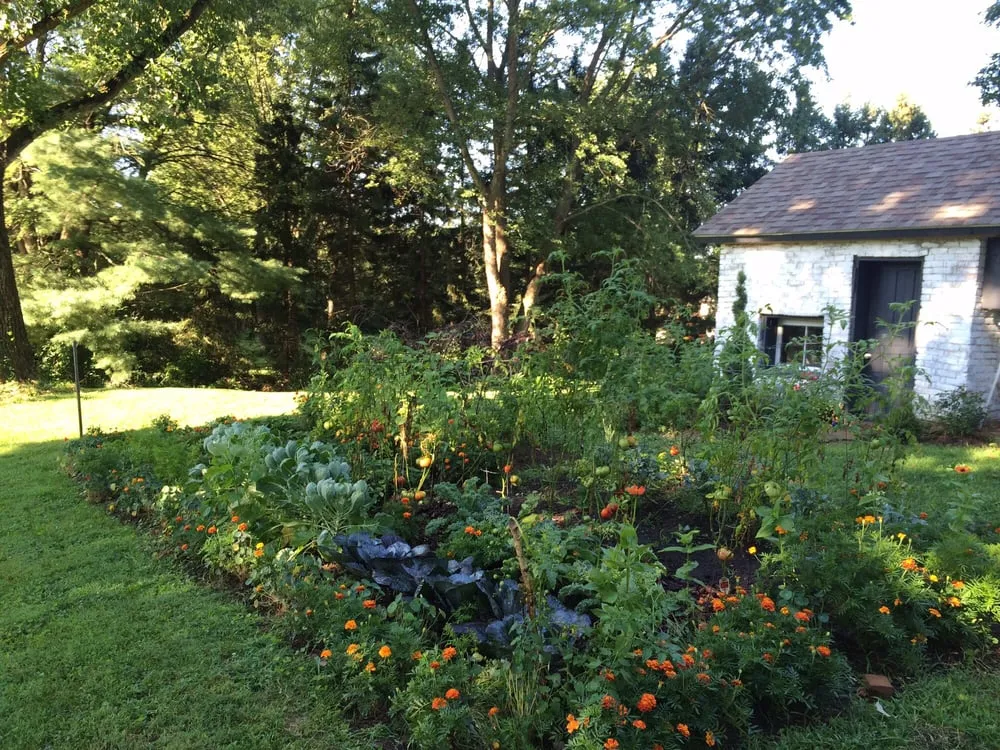 Top-rated landscape installation for outdoor upgrades in New Albany, OH by Nature's Hands Lawn Care