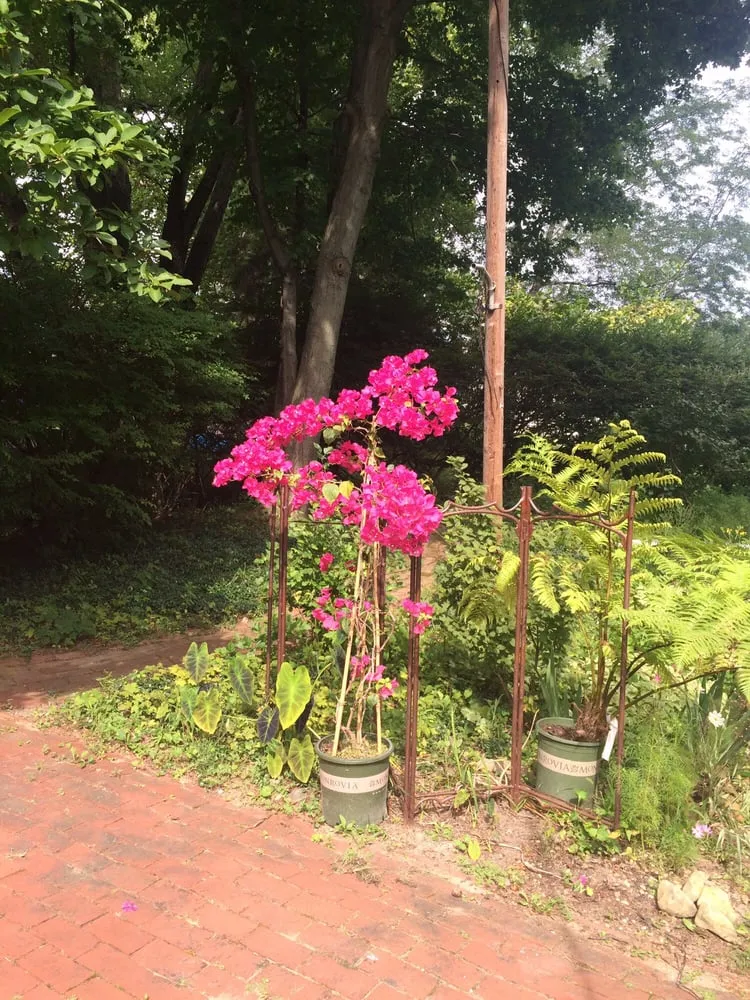 Custom yard cleanup service in New Albany, OH by Nature's Hands Lawn Care