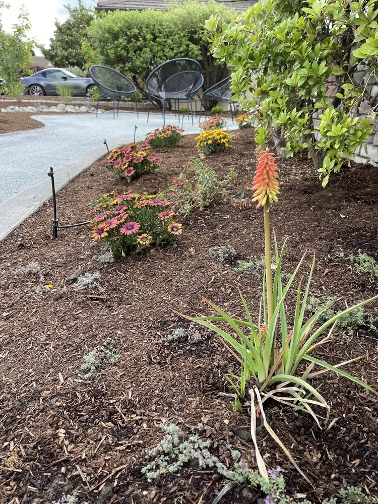 Expert landscape installation for residential properties in Sacramento, CA by Nature's Harmony
