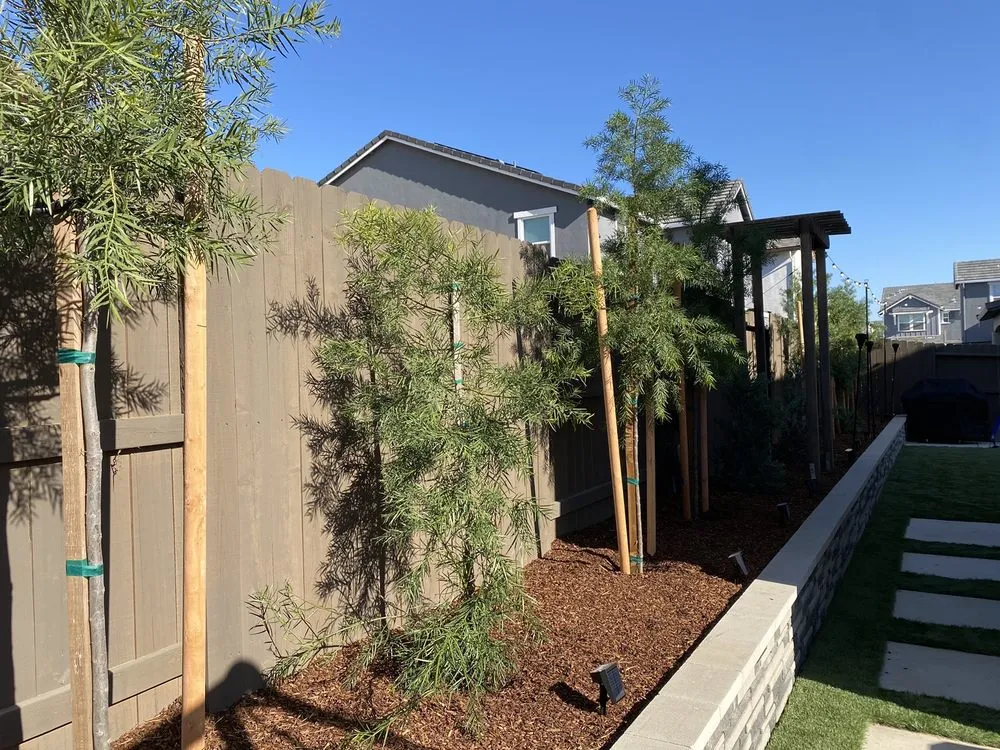 Local outdoor landscaping for beautiful yards in Sacramento, CA by Nature's Harmony