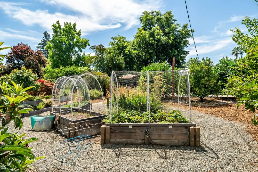 Custom lawn care service in Sacramento, CA - Nature's Harmony