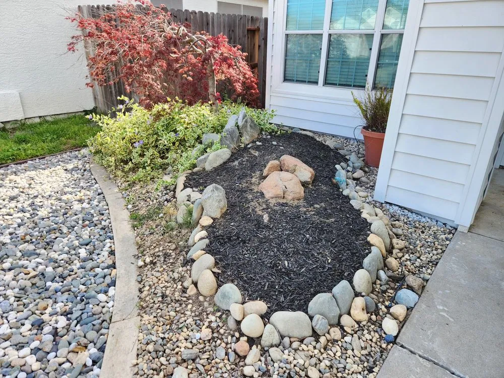 Affordable landscape installation in Sacramento, CA by Nature's Harmony