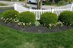 Custom garden landscaping for beautiful yards across Dundalk, MD - Nature's Image