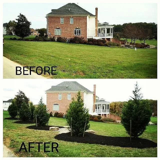 Expert lawn mowing service in Dundalk, MD by Nature's Image