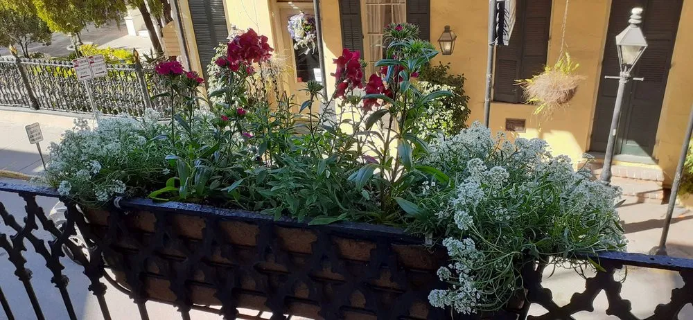 Professional garden landscaping with custom design in New Orleans, LA by Nature's Impressions