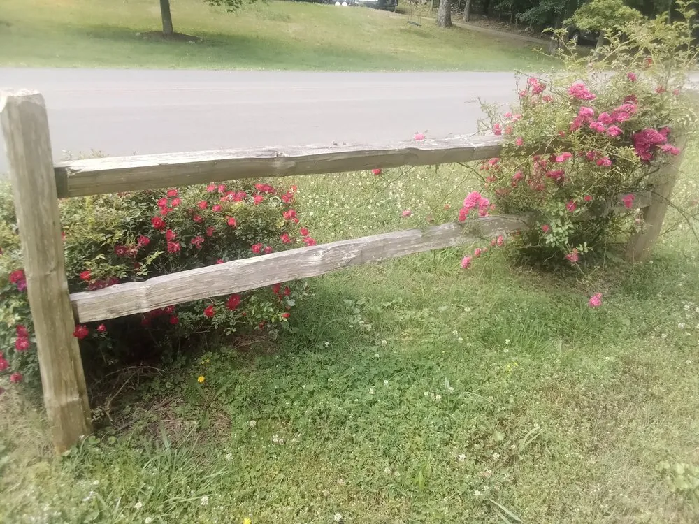 Affordable landscaping services for beautiful yards in Rome, GA by Nature's Independent Landscaper