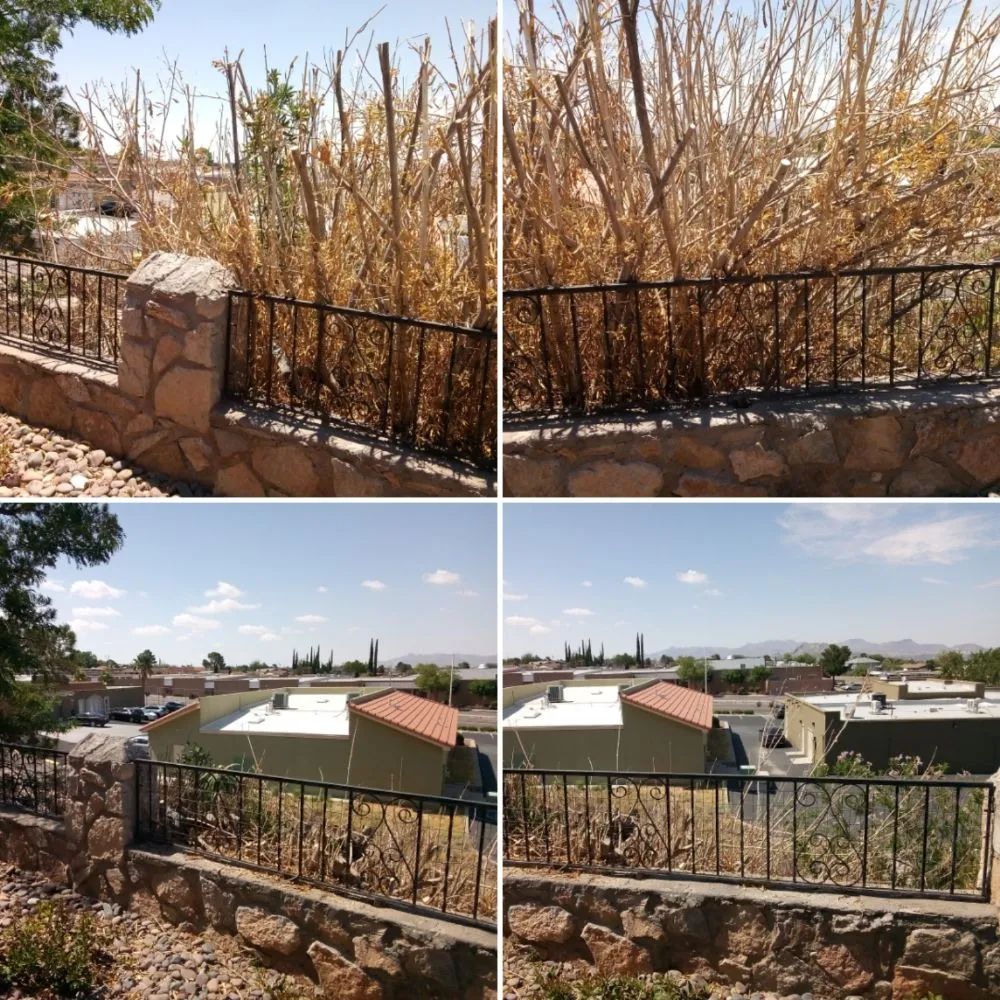 Professional lawn care service in El Paso, TX by Nature's Keepers