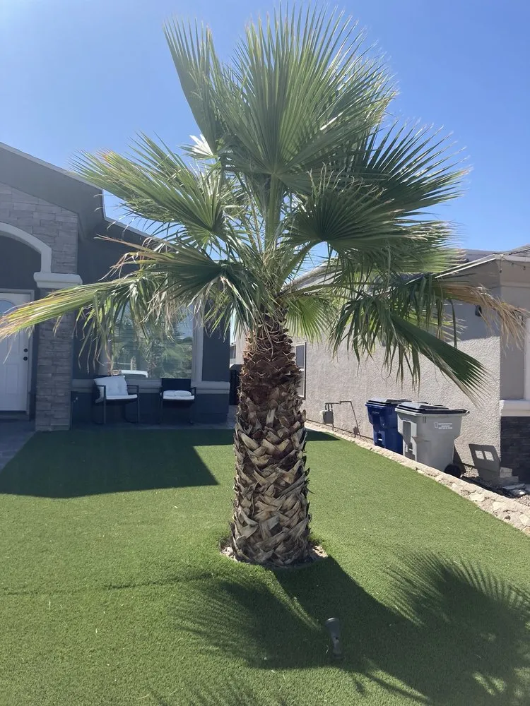 Custom lawn care service in El Paso, TX by Nature's Keepers