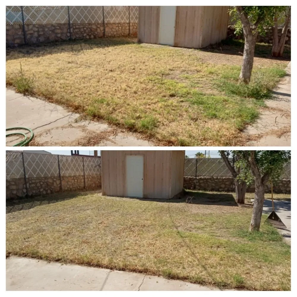 Custom lawn mowing service with custom design in El Paso, TX by Nature's Keepers