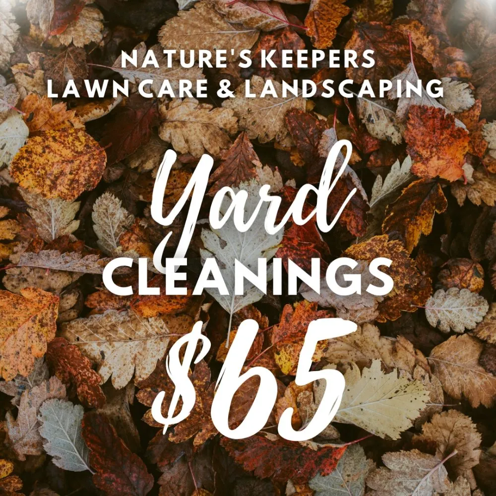 Custom landscaping services for beautiful yards across El Paso, TX - Nature's Keepers