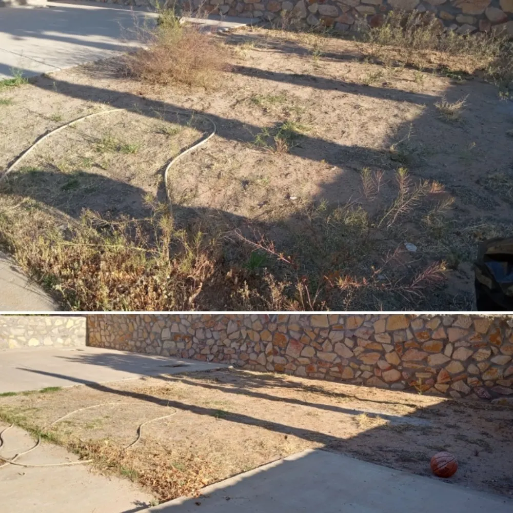 Local yard maintenance experts serving El Paso, TX - Nature's Keepers