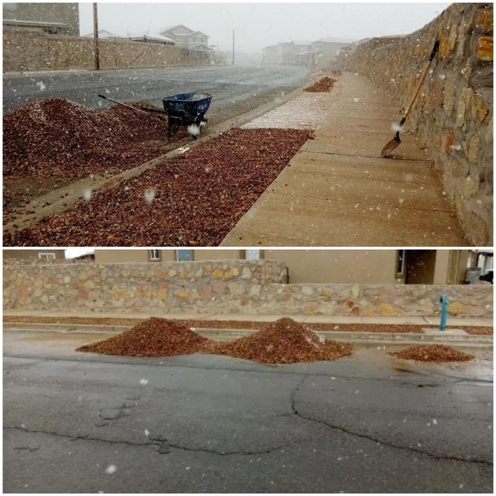 Expert residential landscaping in El Paso, TX - Nature's Keepers