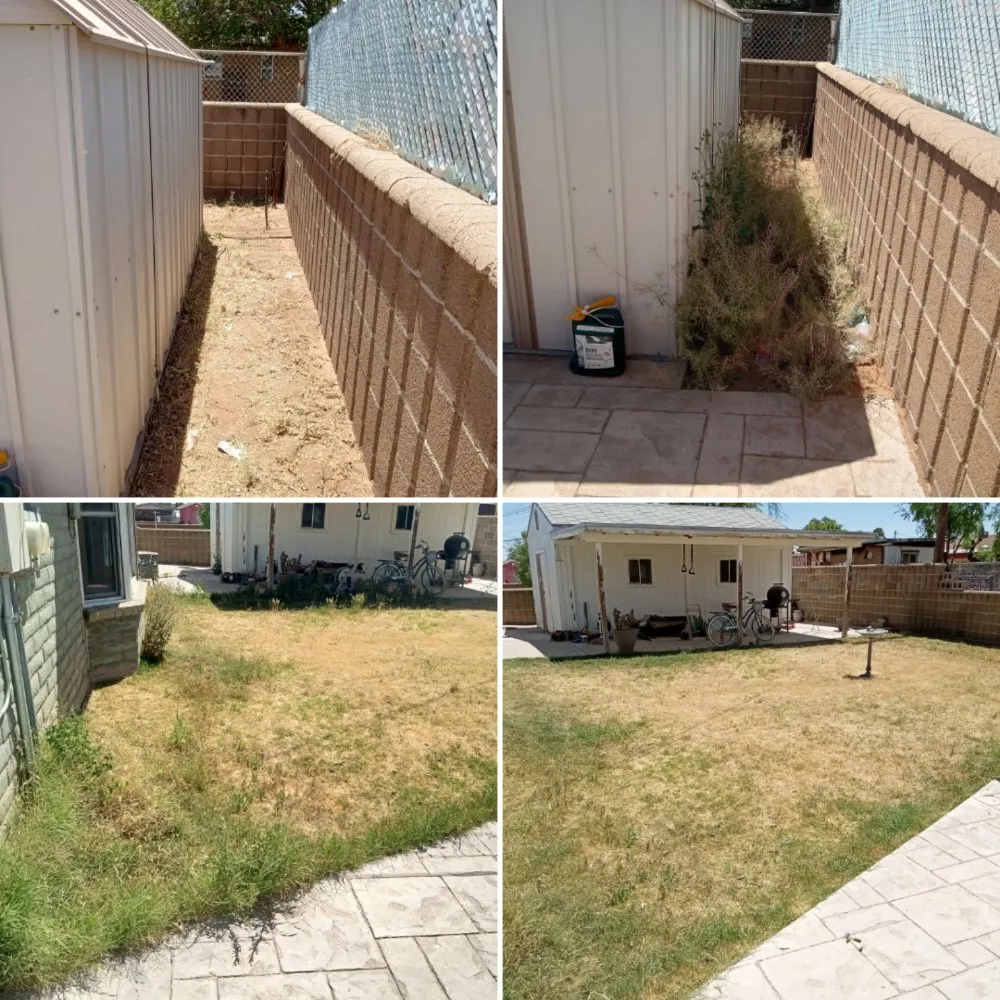 Trusted landscape design in El Paso, TX - Nature's Keepers