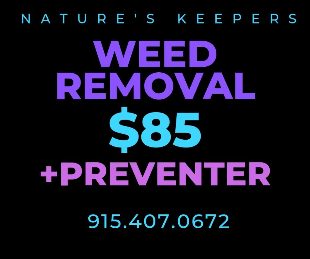 Reliable yard cleanup service for outdoor upgrades in El Paso, TX by Nature's Keepers