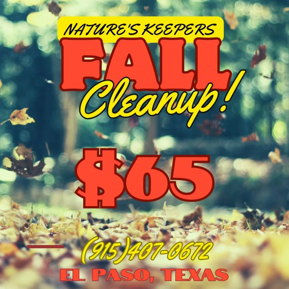 Professional landscape design for beautiful yards across El Paso, TX - Nature's Keepers