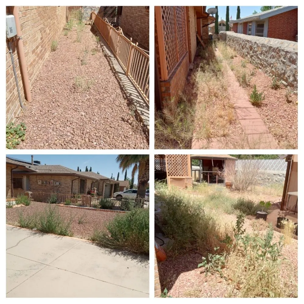 Reliable landscaping services experts serving El Paso, TX - Nature's Keepers