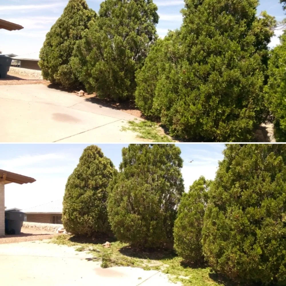 Top-rated lawn mowing service in El Paso, TX by Nature's Keepers