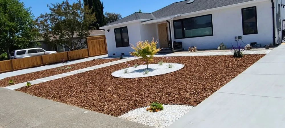 Expert yard cleanup service for beautiful yards across Campbell, CA - Natures Landscape Construction