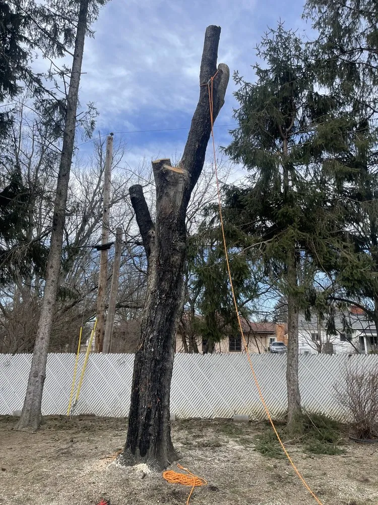 Custom yard cleanup service near you in Pataskala, OH by Nature’s Landscaping