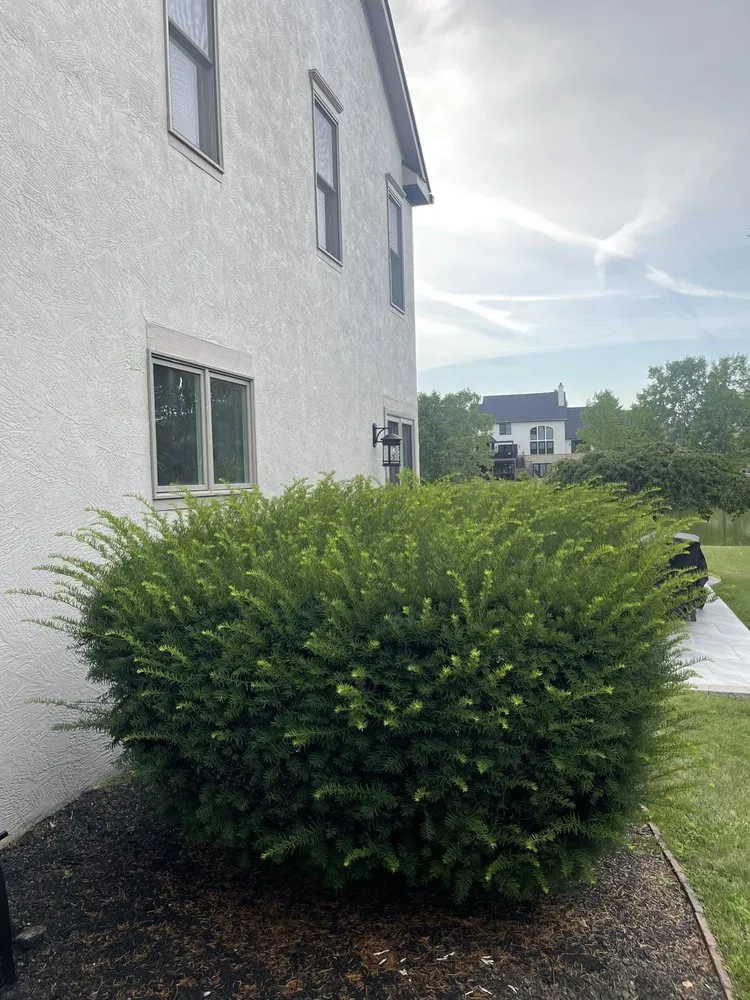 Top-rated landscape design for outdoor upgrades across Pataskala, OH - Nature’s Landscaping