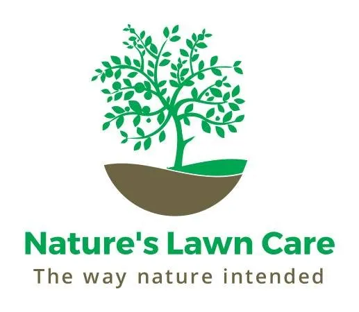 Affordable garden landscaping in Killeen, TX by Nature's Lawn Care