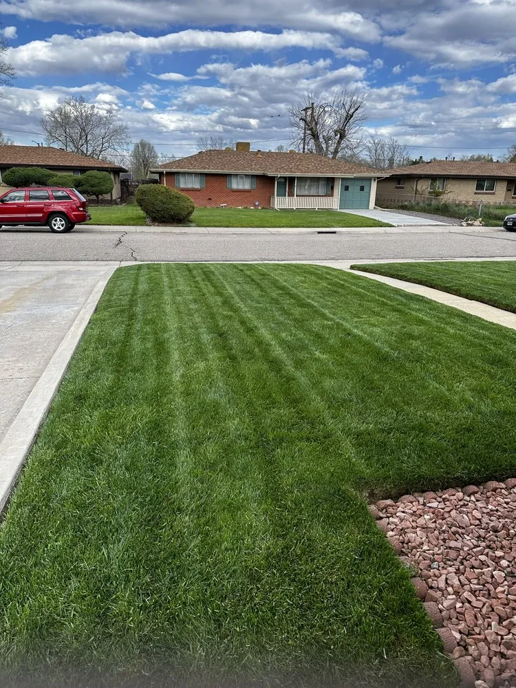 Top-rated residential landscaping experts serving Lakewood, CO - Nature's Lawn Care