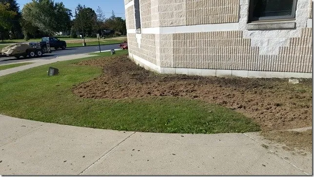 Expert yard maintenance in Medina, OH by Nature's Lawn-N-Shrub Care