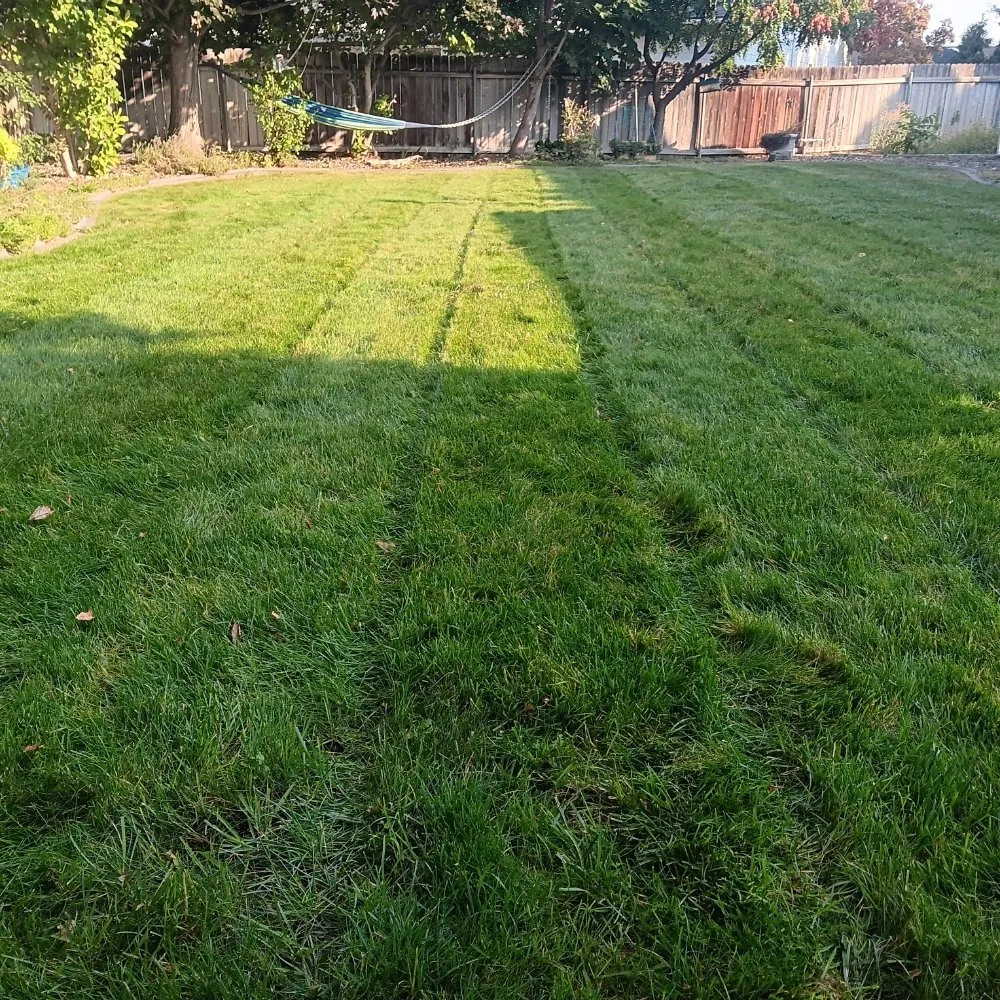 Top-rated yard maintenance in Kennewick, WA by Natures Legacy